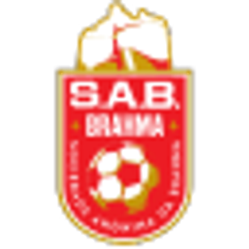 Brahma Llc