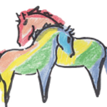 RAINBOW EQUINE HOSPITAL LIMITED