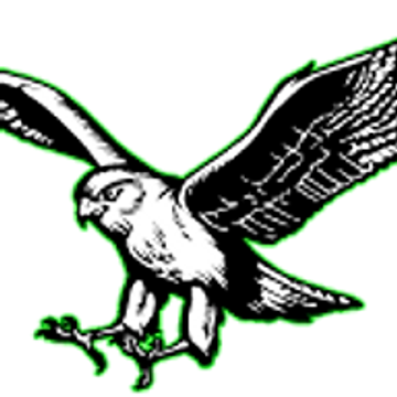 Falcons Nest