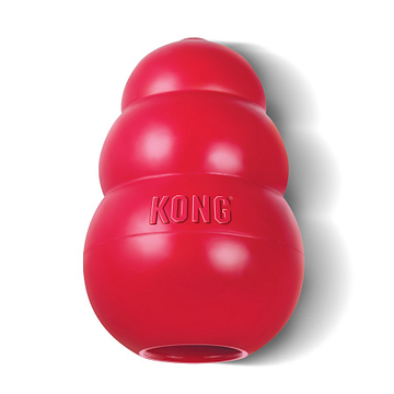 Kong Company