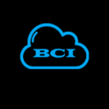 Brunning And Price Limited