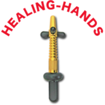 HEALING HANDS WELLNESS GROUP PTE. LTD.