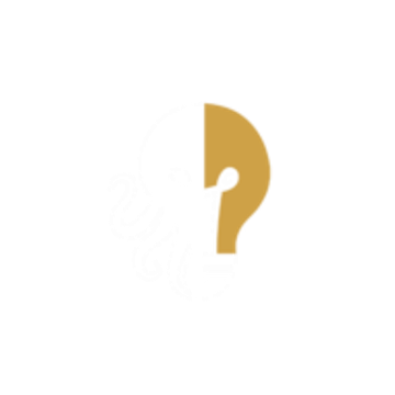 Octopus Company