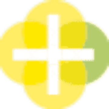 EUROPEAN SOFTWARE SOLUTIONS LIMITED
