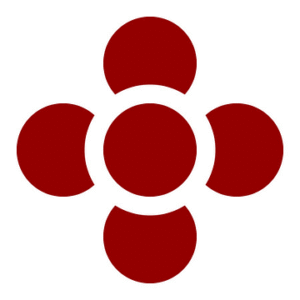 company-logo