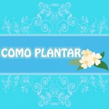 Alimentos con Idea sa de cv