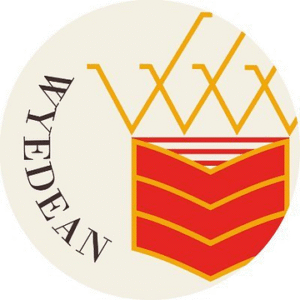 company-logo
