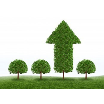 Orchard Learning Alliance