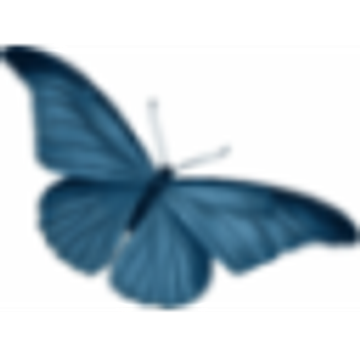 Blue Side Up Consulting
