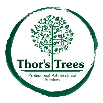 Thor's Trees