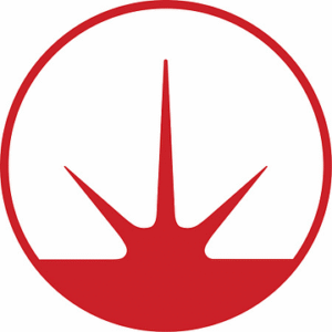 company-logo