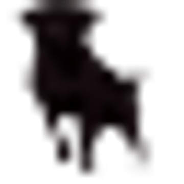 Black Lab Digital