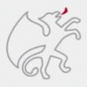 company-logo