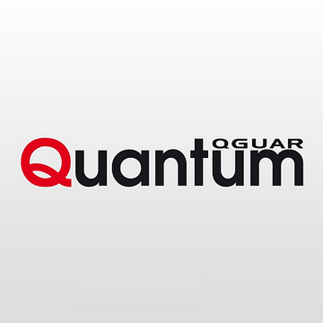 Quantum Software