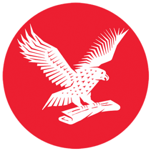 company-logo