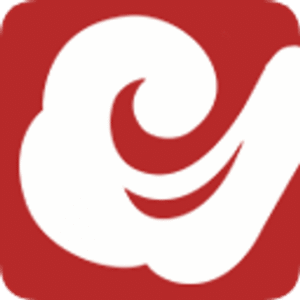 company-logo