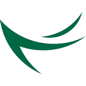 company-logo