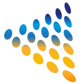 Dss Inc.