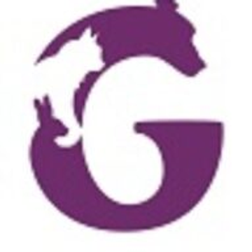 GILMOOR VETS LIMITED