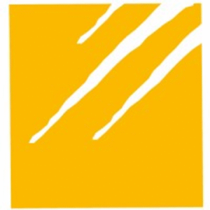 company-logo