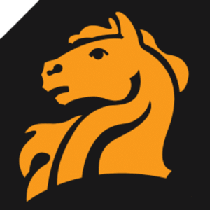 company-logo