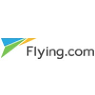 Flying Turtle