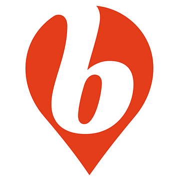 BUD LIMITED