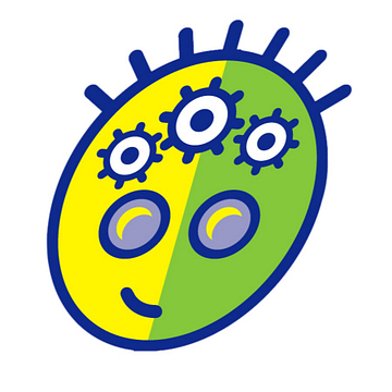 SCI Supply Hub