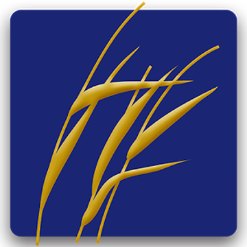 Plains Commerce Bank