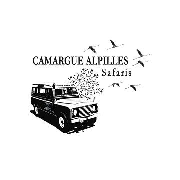 CAMARGUE GROUP LIMITED