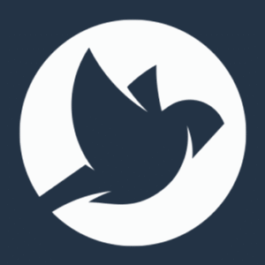 company-logo