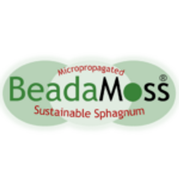 BeadaMoss