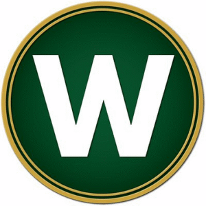 company-logo