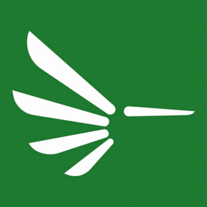 company-logo