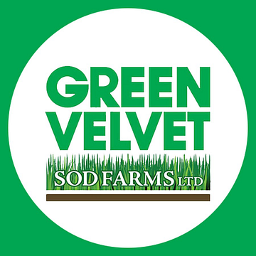 Green Velvet