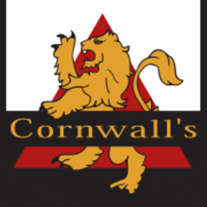 company-logo