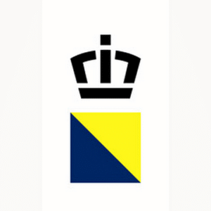 company-logo