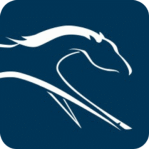 company-logo