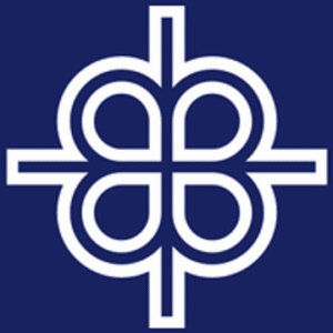 company-logo