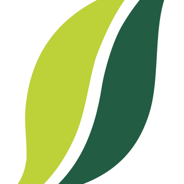 MMJ Daily