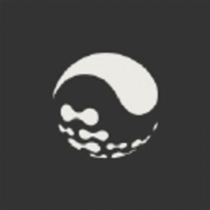 company-logo