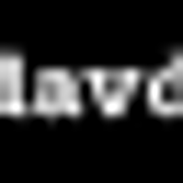 DAVID PAYNE COACHBUILDERS