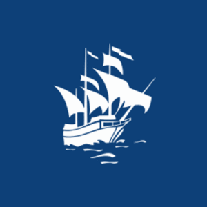 company-logo