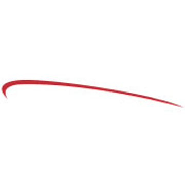 Pinnacle Holdings