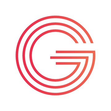 Vision Government Solutions Inc