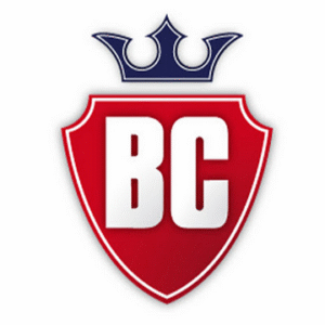 company-logo