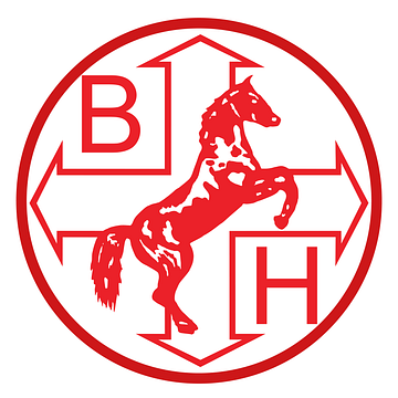 Ballyvesey Holdings Limited
