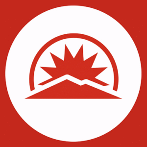 company-logo
