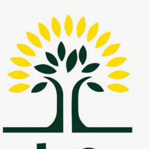 company-logo