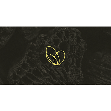Substrate Biochar